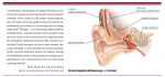 Jak słyszy pacjent z implantem ślimakowym?